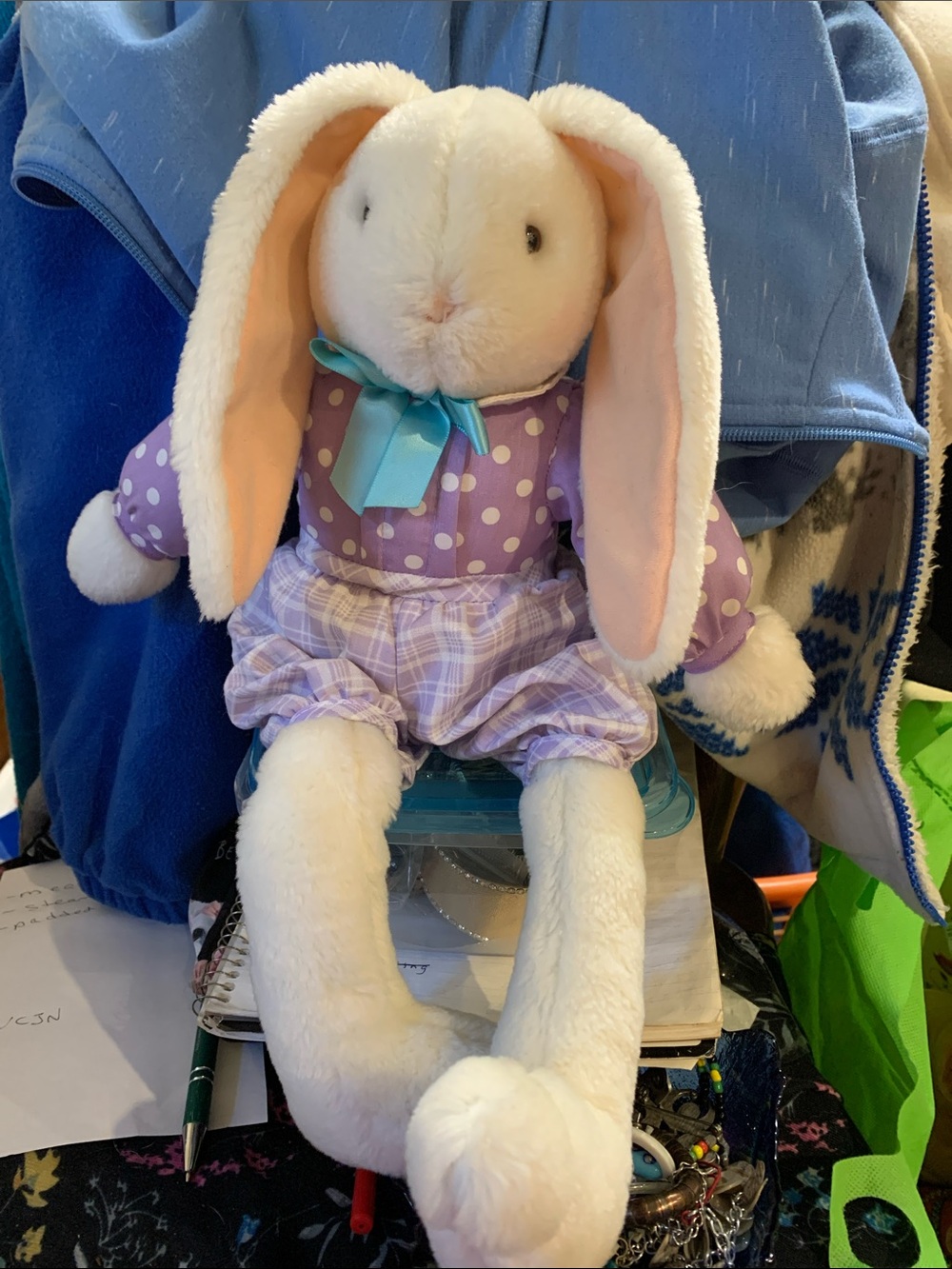 Plush White Bunny in Purple Outfit with Teal Bow